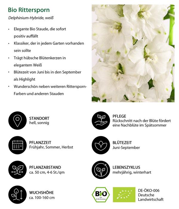 Bio Rittersporn, weiß