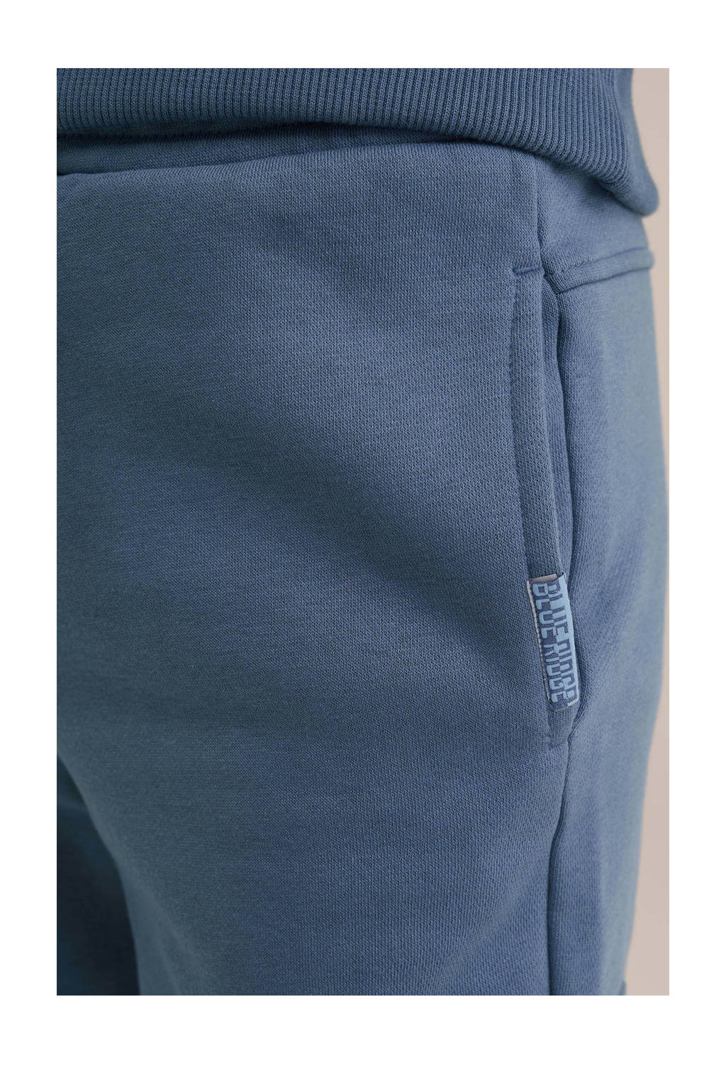 WE Fashion cargobroek blauw