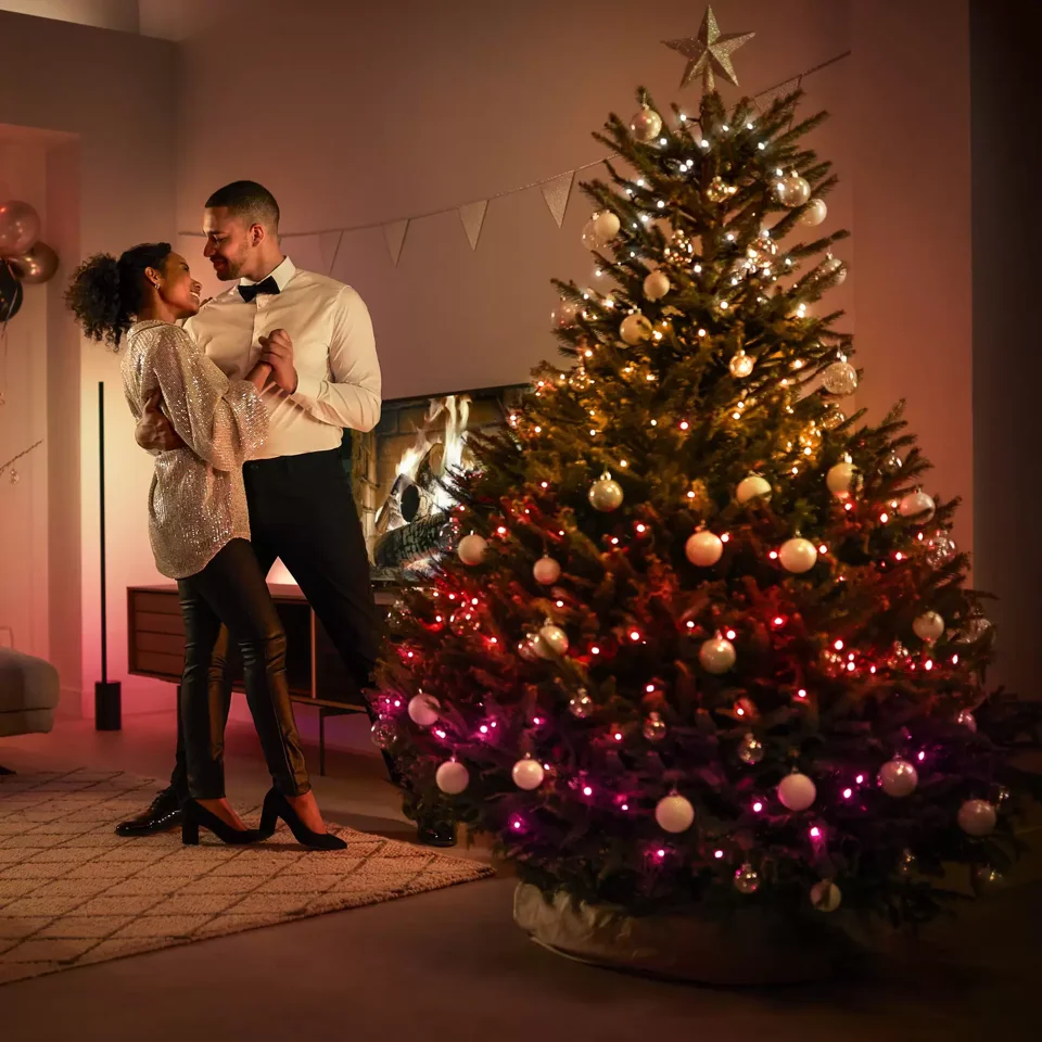 Philips Hue - Festavia lyskæde - 500 LED - EU 2x20 meter