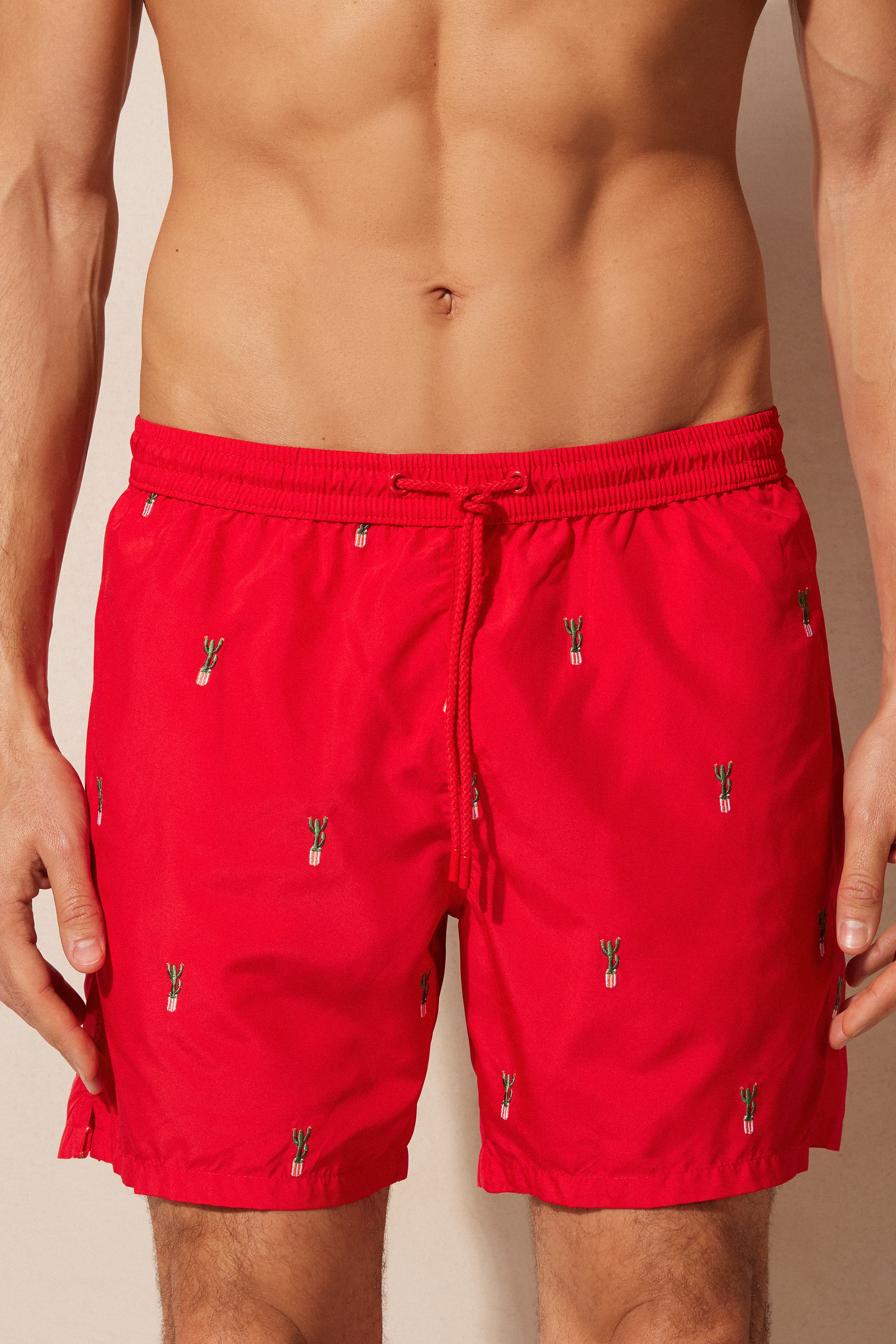 Maiô boxer com bordado de cactos