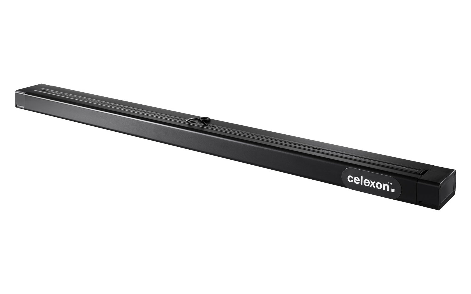 Celexon Professional Mini Screen mobile Tischleinwand 61 x 46 cm