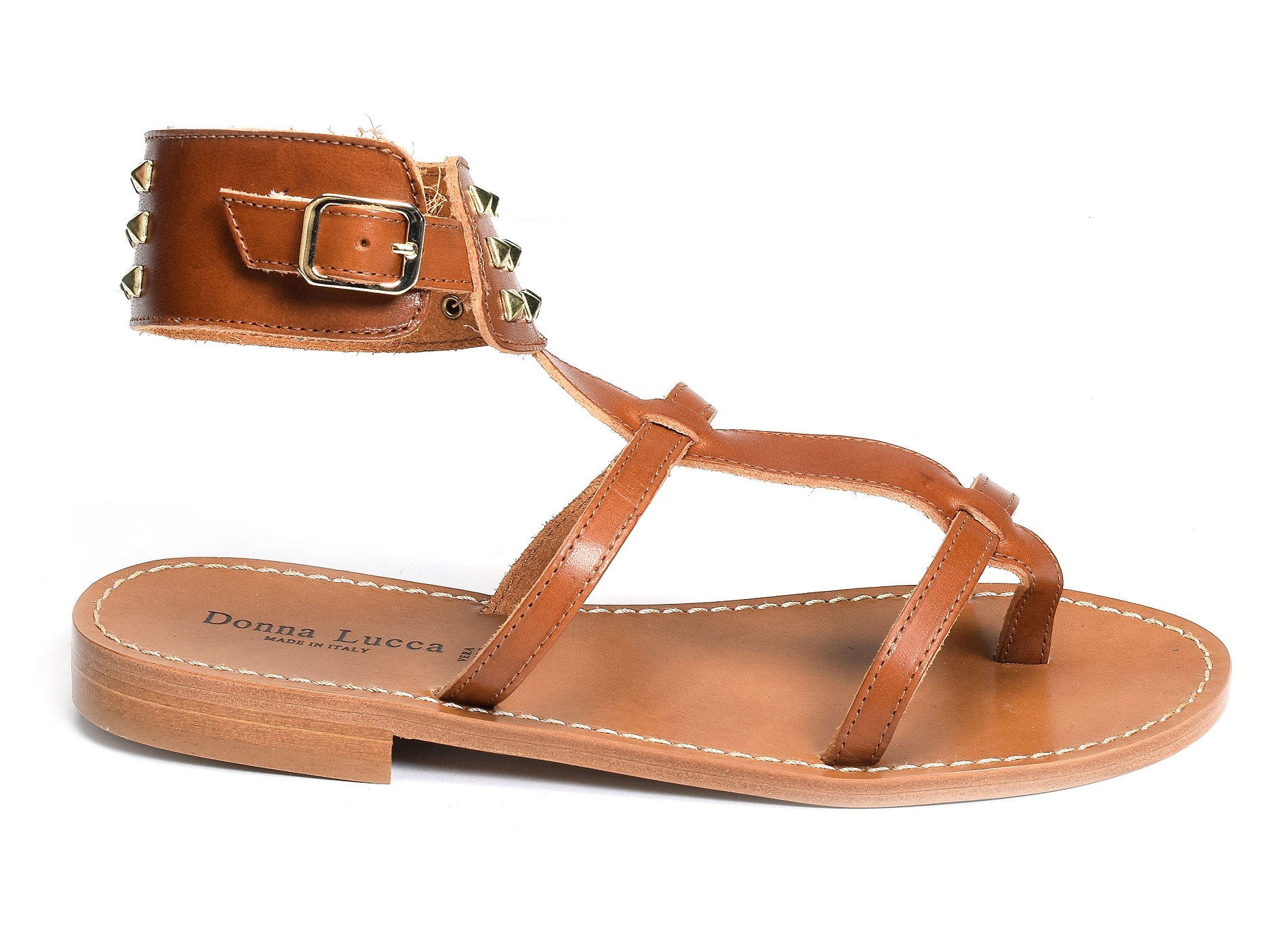 1260 camel