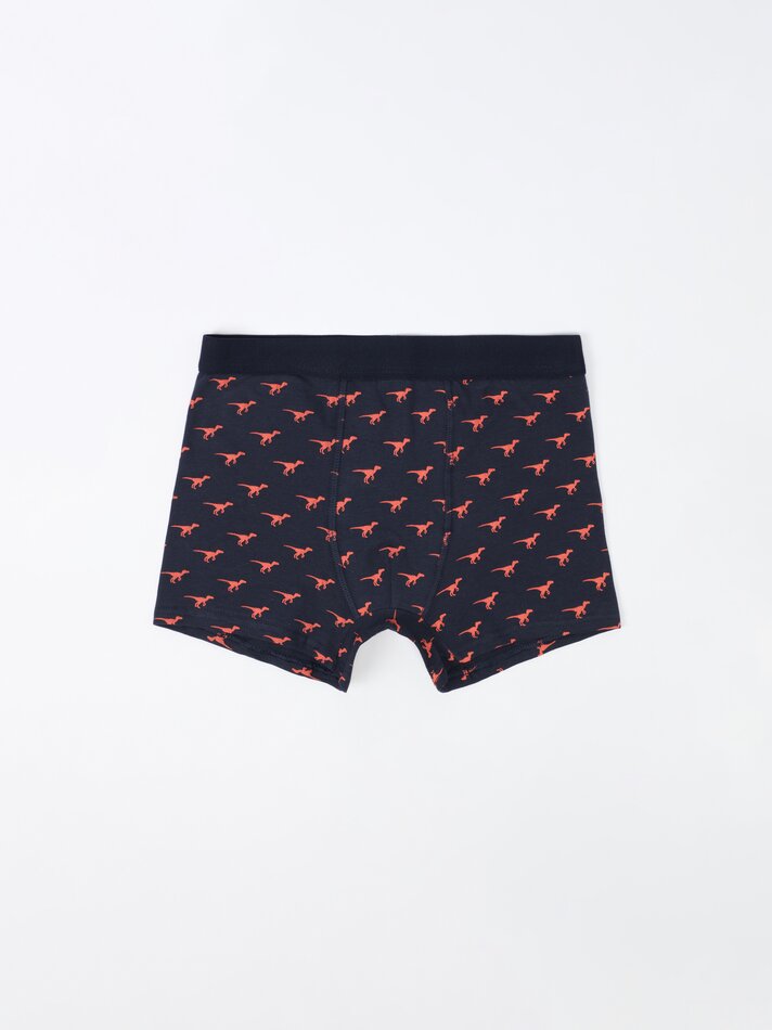 Pacote com 7 cuecas boxer estampadas - Cores Variadas
