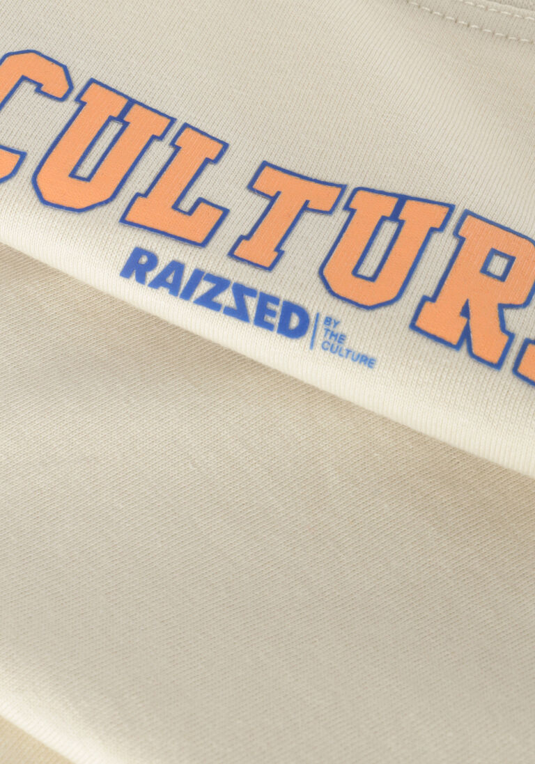RAIZZED lichtgrijze raizzed t-shirt sheridan