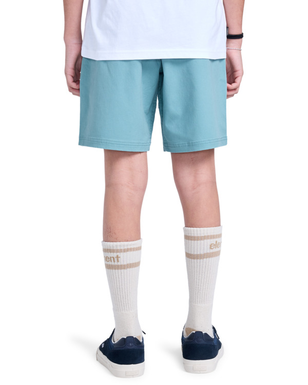 Element Chillin Classic Short Youth Trellis