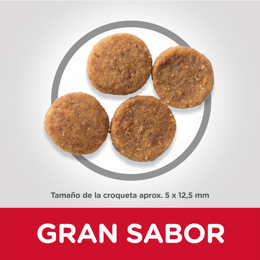Hill's Science Plan Youthful Vitality Médio Adulto Frango para cachorros