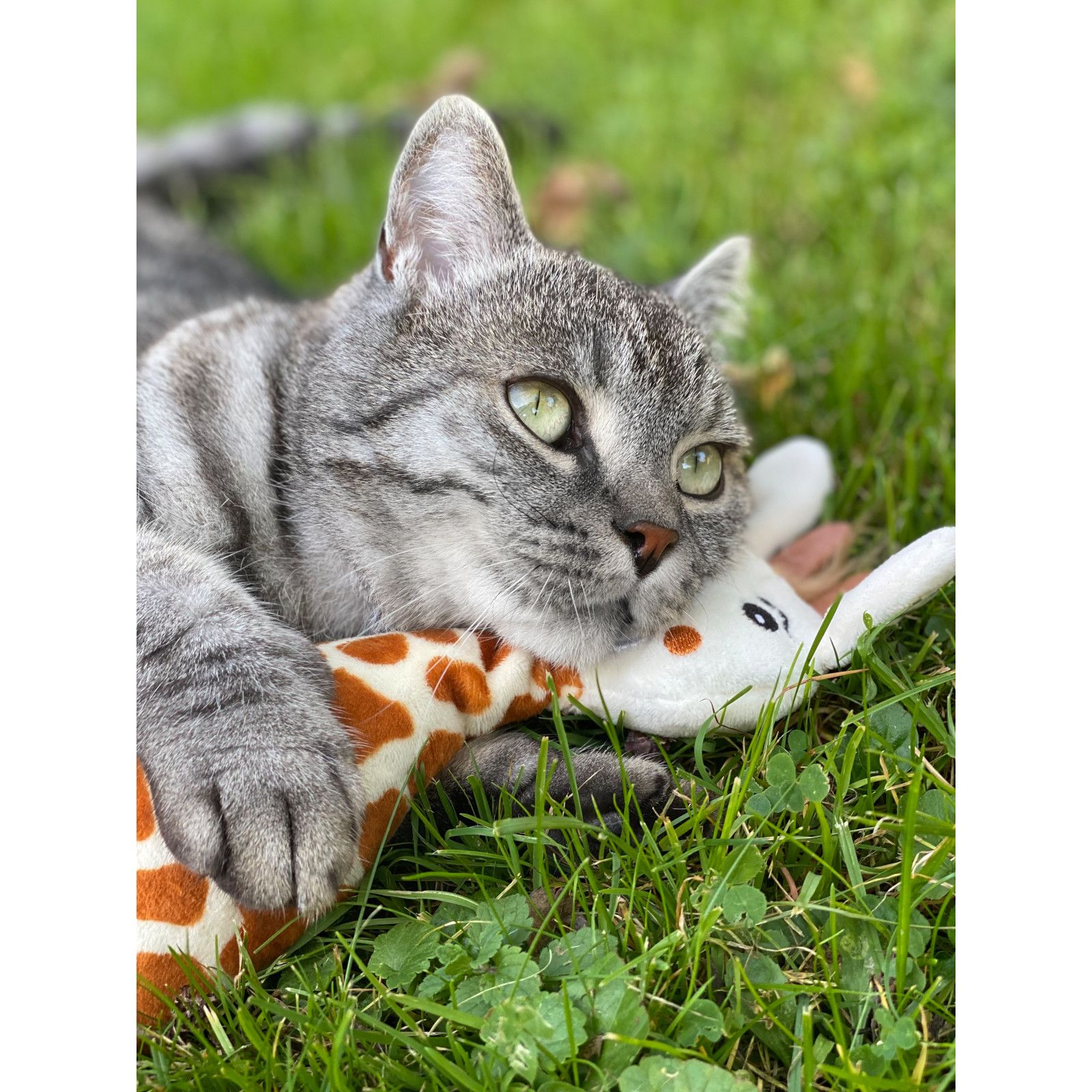 Aumüller Katzenspielkissen mit Baldrian - Giraffe Gina