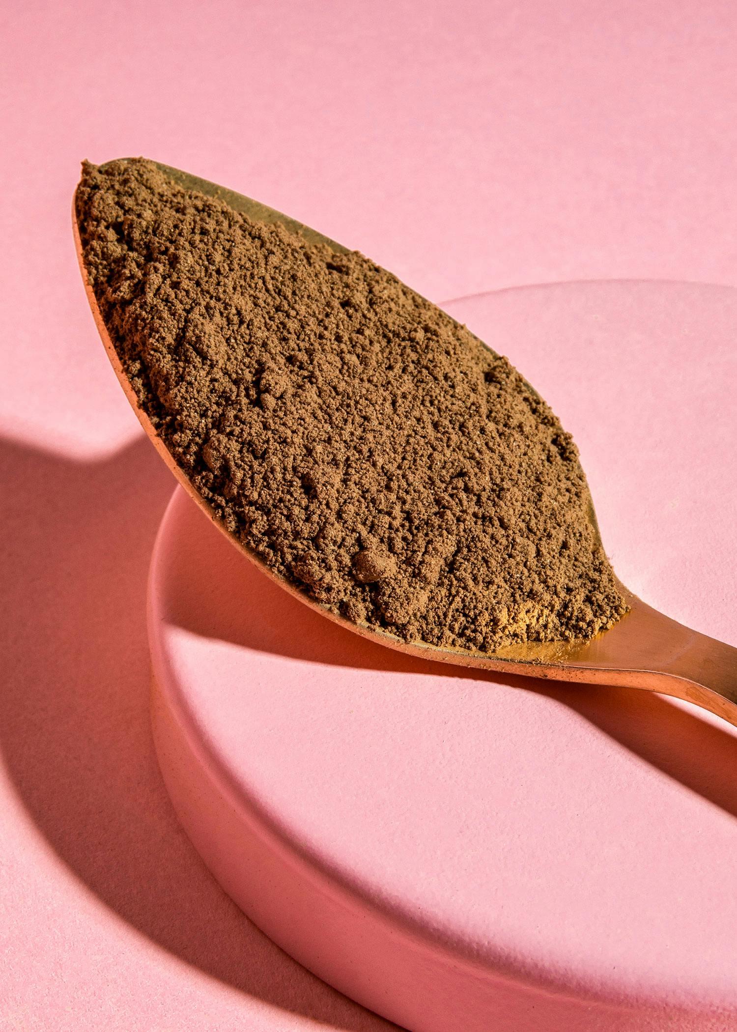 Bio Reishi Pulver 250 g