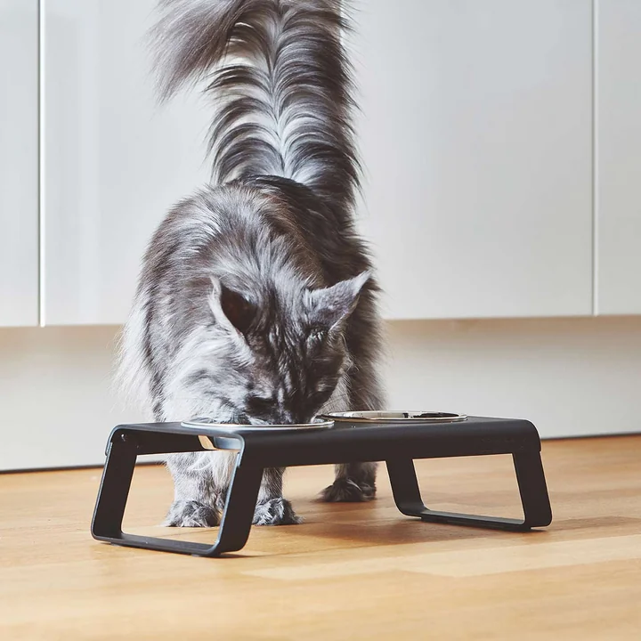 MiaCara - Desco Katzennapfständer mit Edelstahlnäpfen S, Esche natur