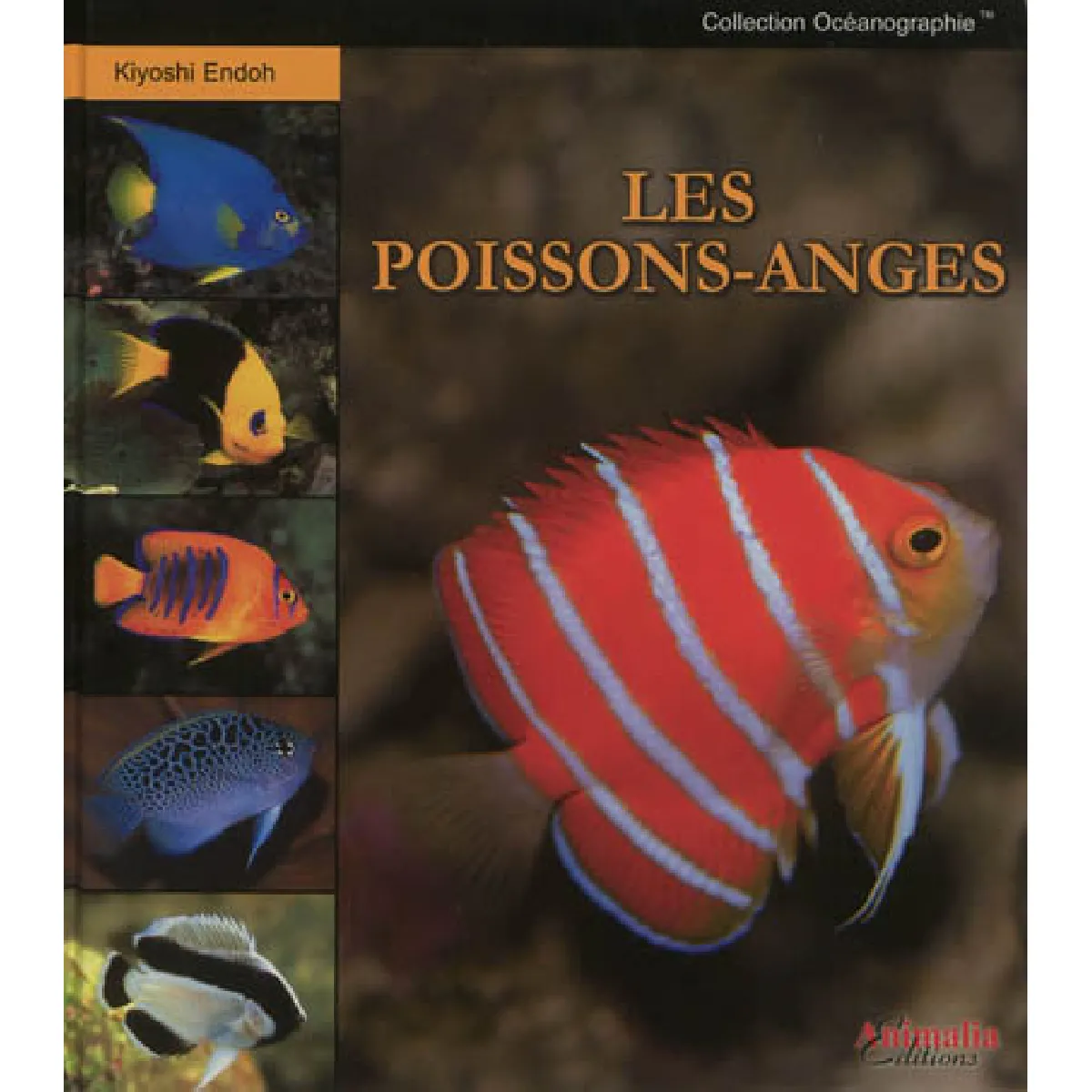 Les Poissons-anges · Occasion