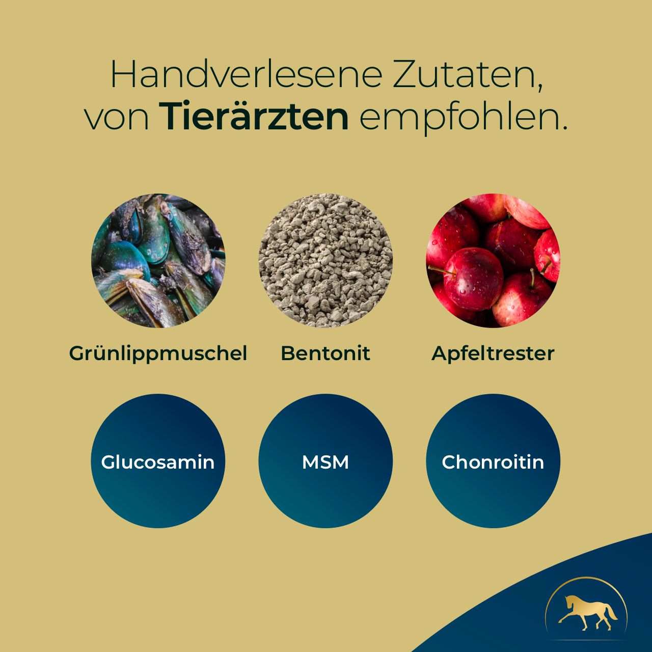 Pferdegold® Gelenke