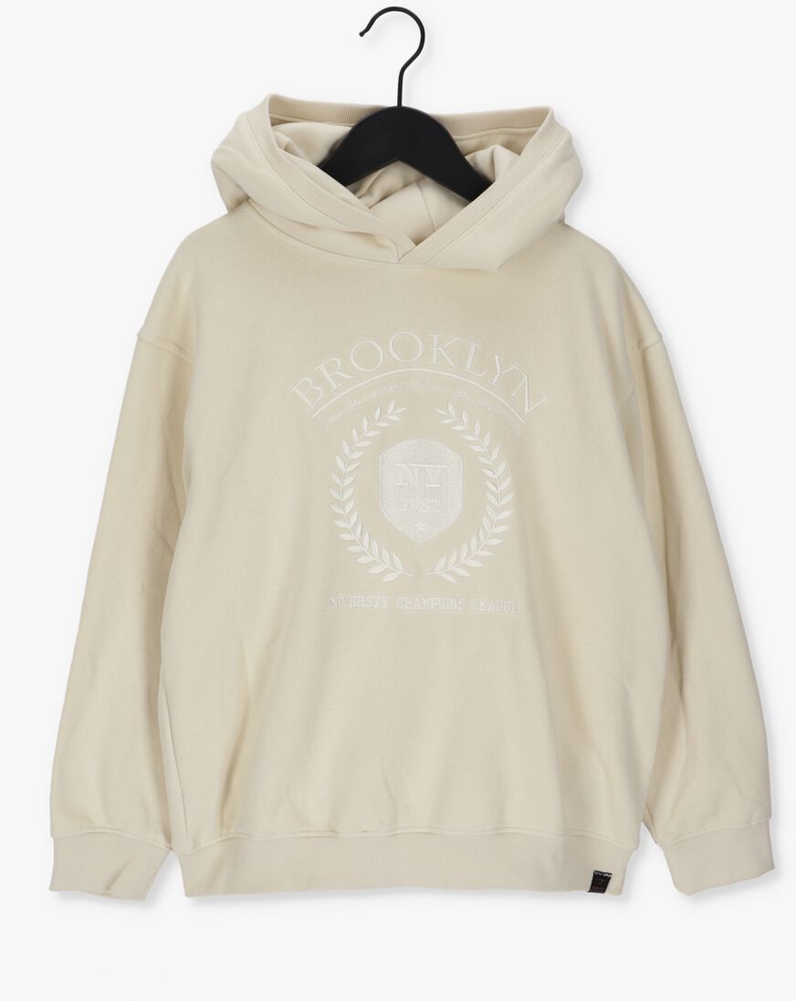 INDIAN BLUE JEANS beige indian blue jeans sweater hooded brooklyn