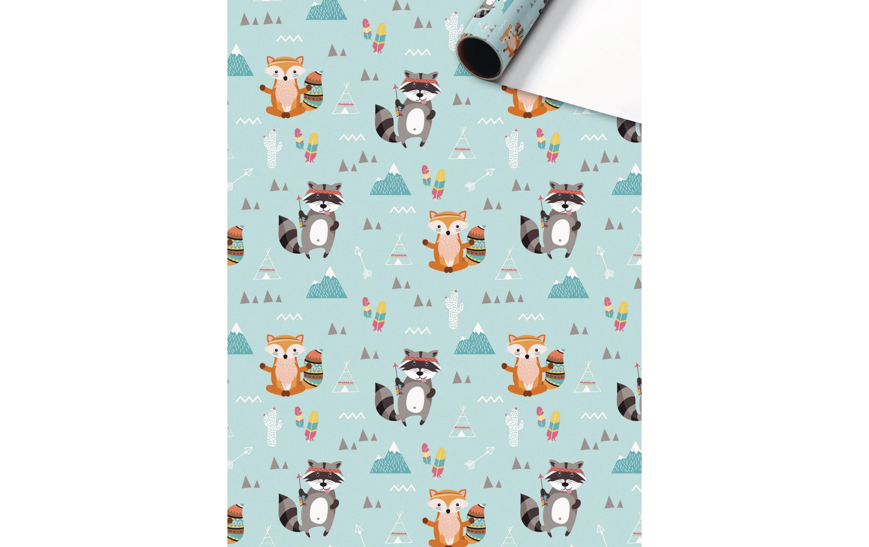 Geschenkpapier Matz 1 Stück, Mint/Orange, 70 cm x 2 mGeeignet als Geschenkverpackung oder Einfasspapier für Bücher