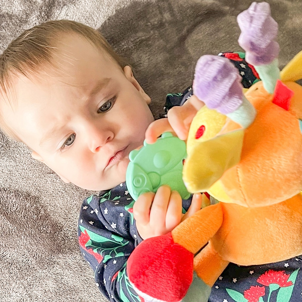 Playgro Discovery Friend Giraffe Spielzeug