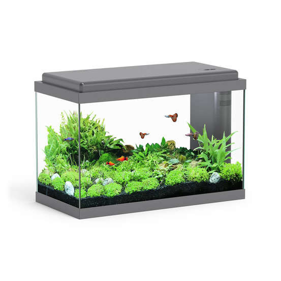 Aquarium Sarawak, gris - 40 litres