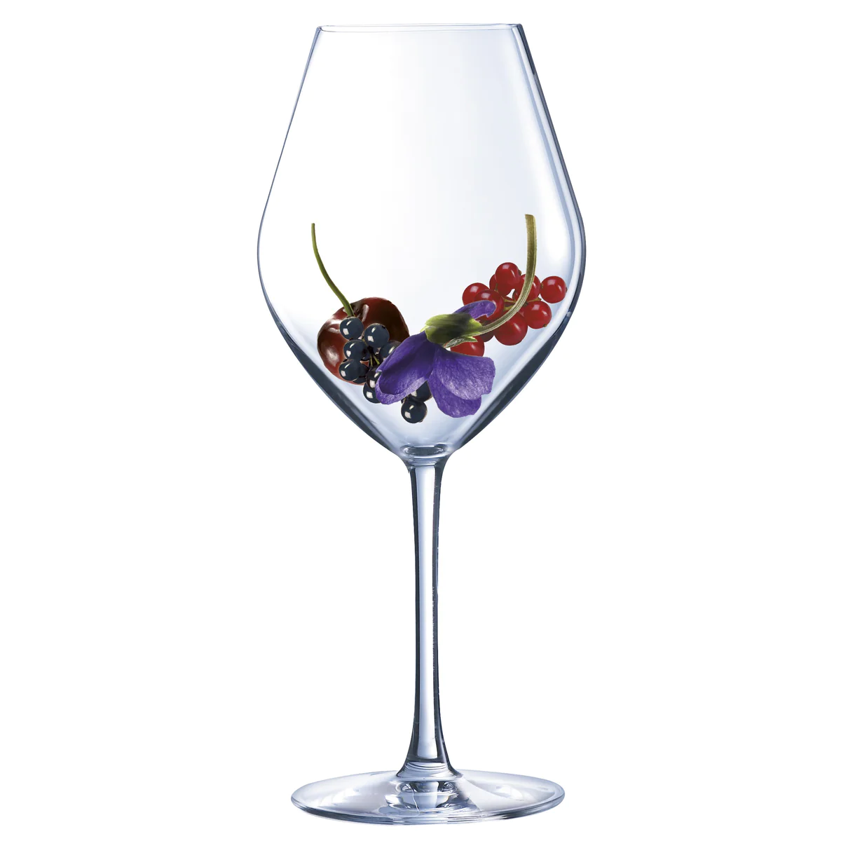 Lys - Lot de 6 verres à pied 25cl Couzon