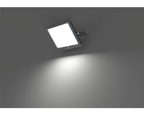 LUMAK PRO LED wandspot IP65 200W 33000 lm 4000 K Stroomkabel 3G1.0mm² H05RN-F 0,5 m + snelsluiting