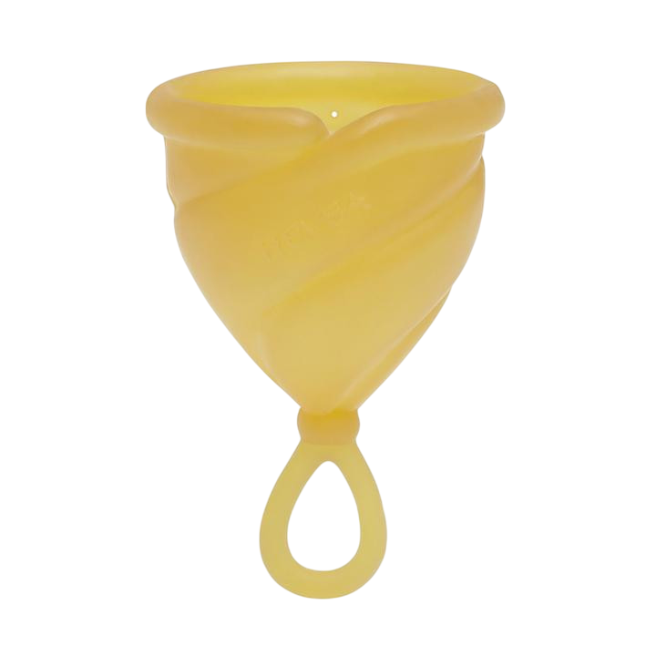 Loop Cup Bernstein Size 1