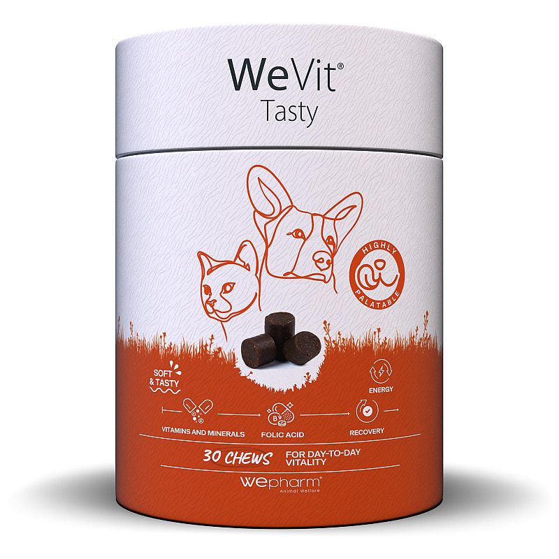 Wepharm WeVit Tasty 30 soft-chews | 15855