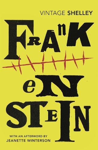 Frankenstein (Paperback)