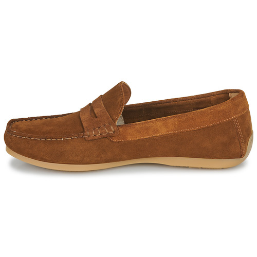 Carlington - ERMYL - Camel