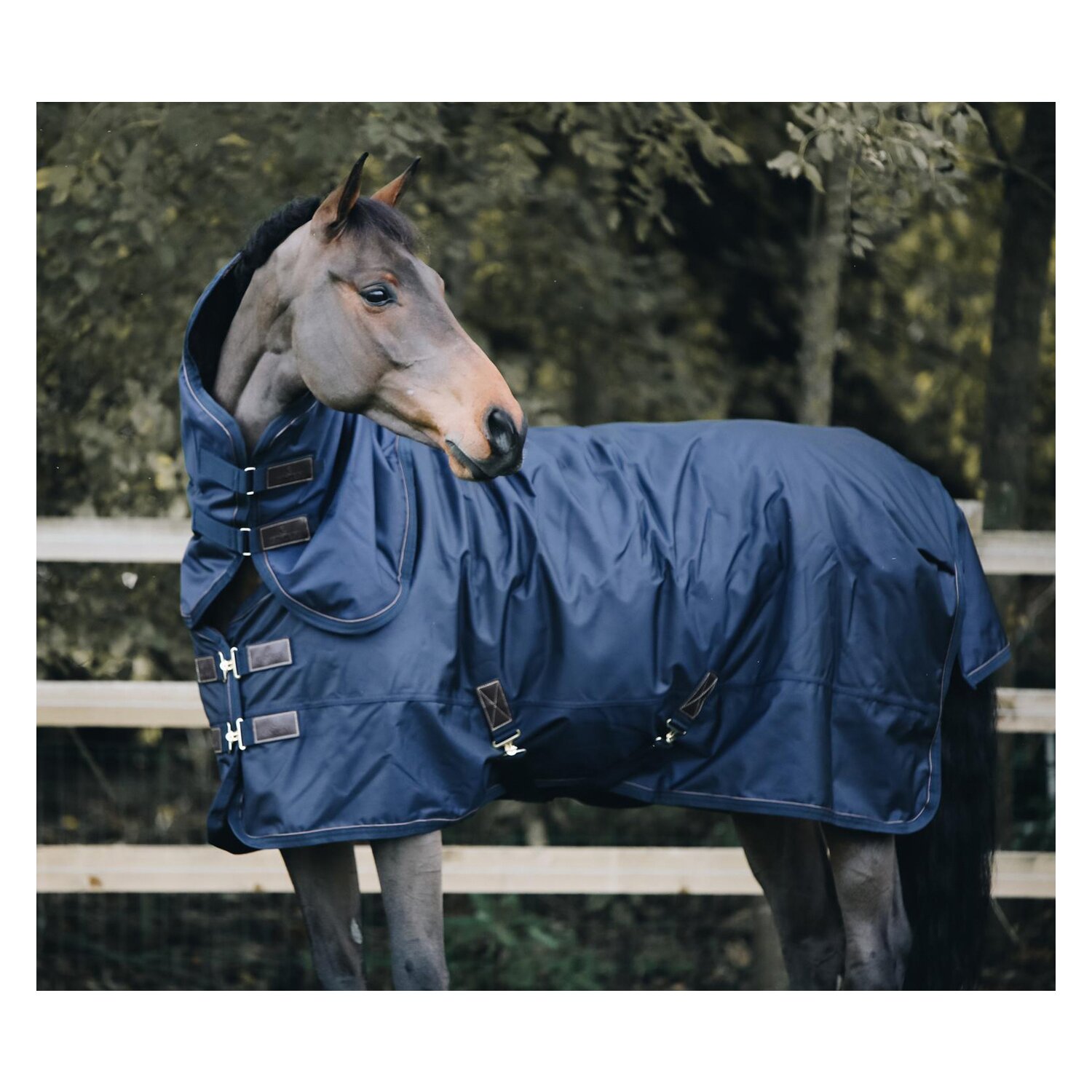KENTUCKY Weidedecke All Weather Pro - navy