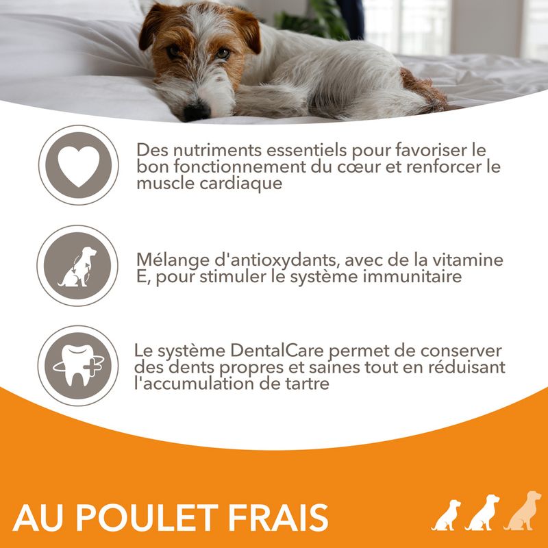 IAMS Advanced Nutrition Senior Small & Medium poulet