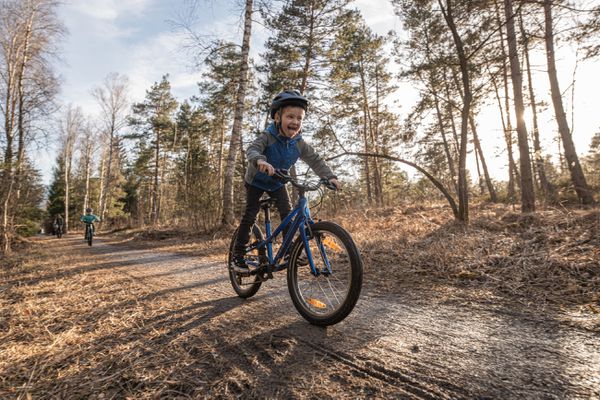 JETT 20 SINGLESPEED Kinder- und Jugendvelo  gloss cobalt ice blue  20 ZOLL