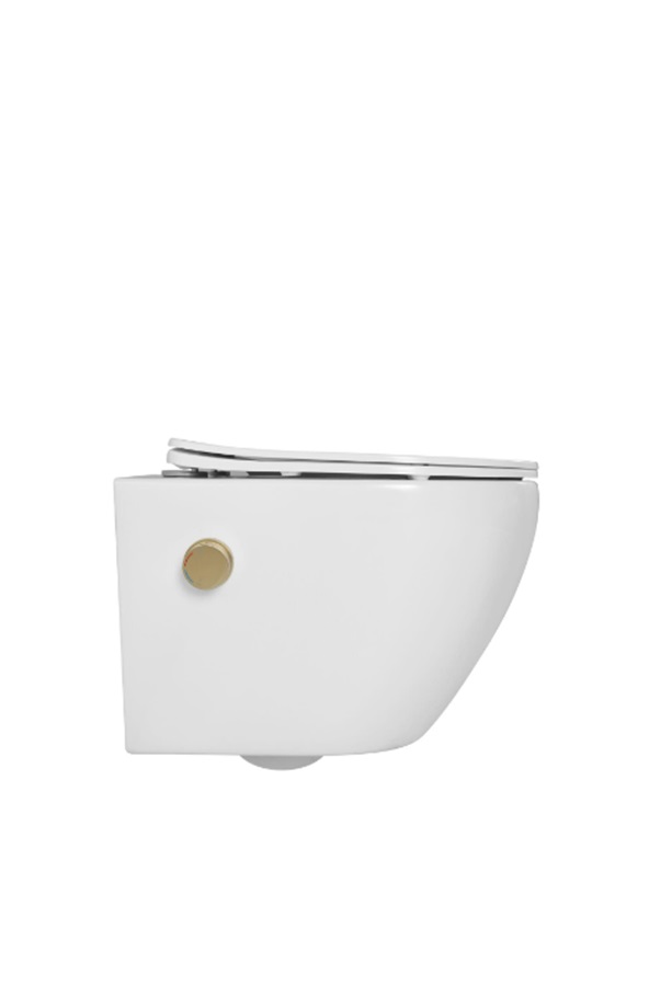 DTG Livorno douche wc met gouden bidetkraan en softclose zitting wit glans