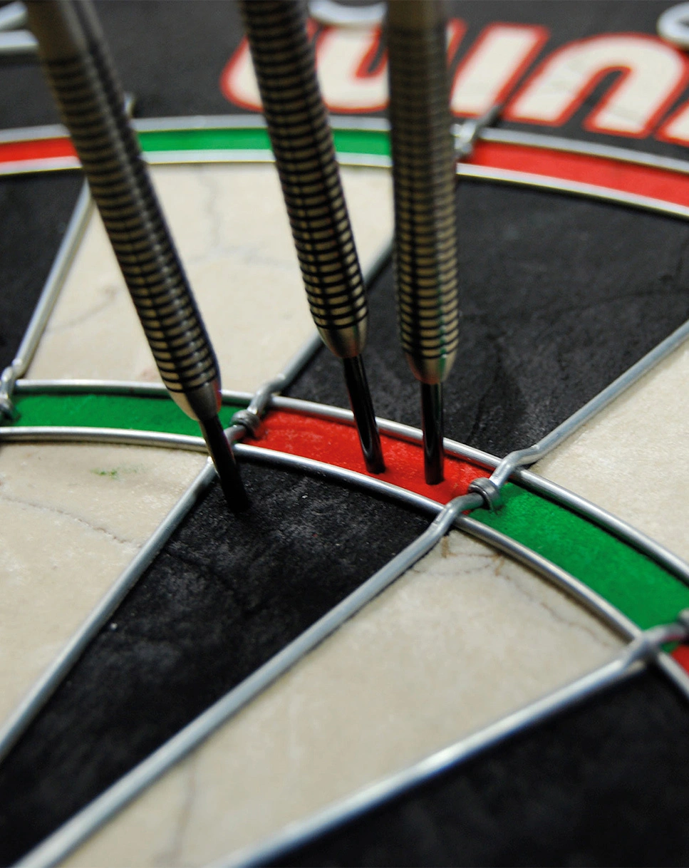 Dartboard Winmau PRO-SFB Set inkl. 2 Satz Steeldarts
