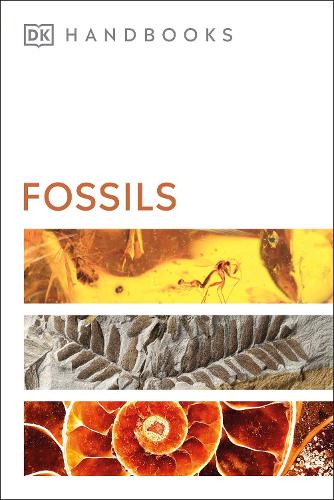 Fossils - DK Handbooks (Paperback)