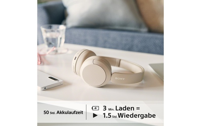 Sony Over-Ear-Kopfhörer »WH« Bluetooth