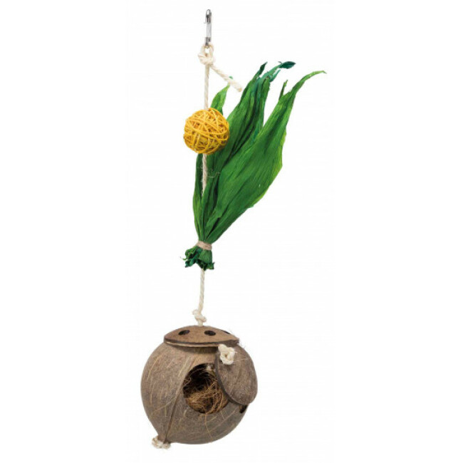 Suspension noix de coco sur corde en sisal pour oiseaux