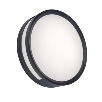 Rola wandlamp mat zwart