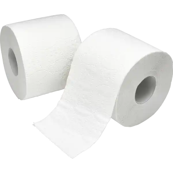 Recycling Toilettenpapier