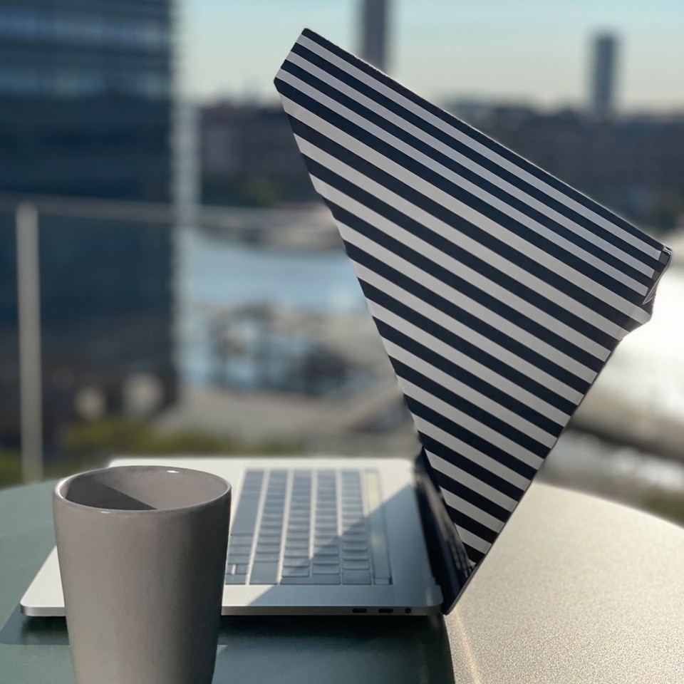 Philbert - Sun Shade & Privacy Ultra Slim Hood - Universal13”/14” - Striped