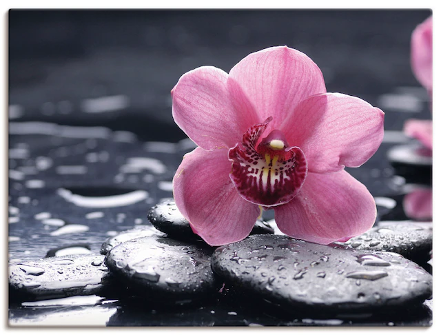 Artland Leinwandbild »Stillleben mit Kiesel und einer Orchidee« Blumen 1 Stk. tlg. als Alubild, Outdoorbild, Leinwandbild, Poster, Wandaufkleber