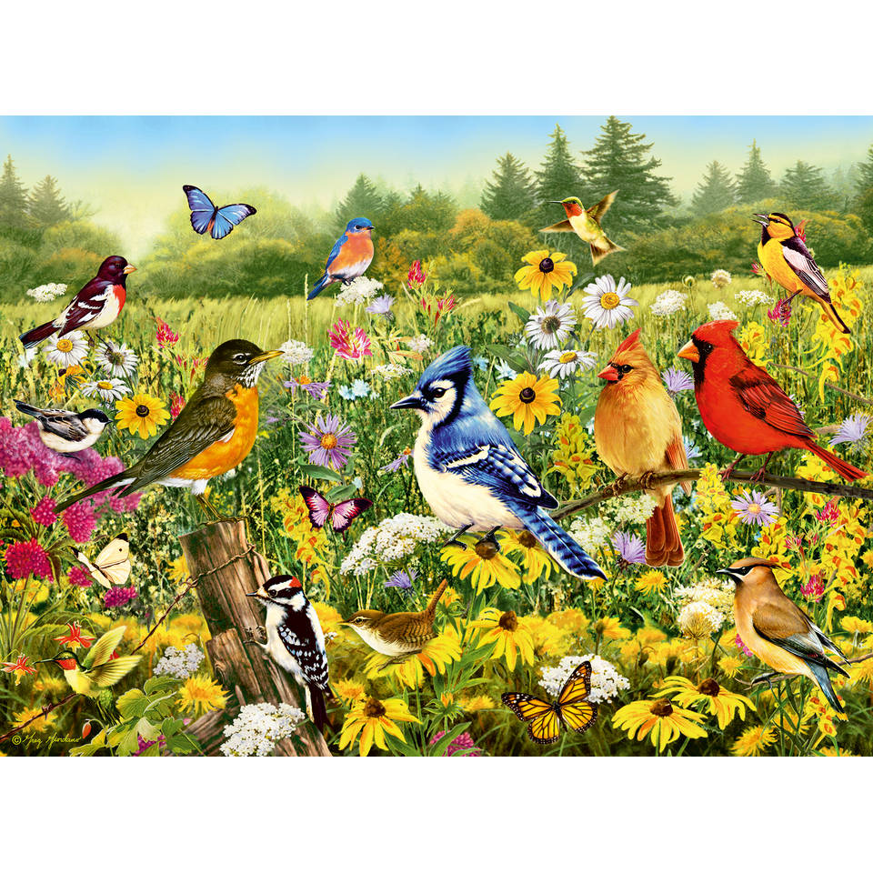 Ravensburger puzzel vogels in de wei - 500 stukjes