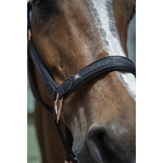 Halsterset BRITT EQUESTRIAN AW25 Zwart