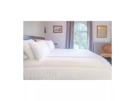 BLANREVE Couette chaude Percale - Anti-acariens - 350g/m2 - 220x240cm