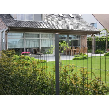 Betafence tuingaas 61 cm x 25 m antraciet
