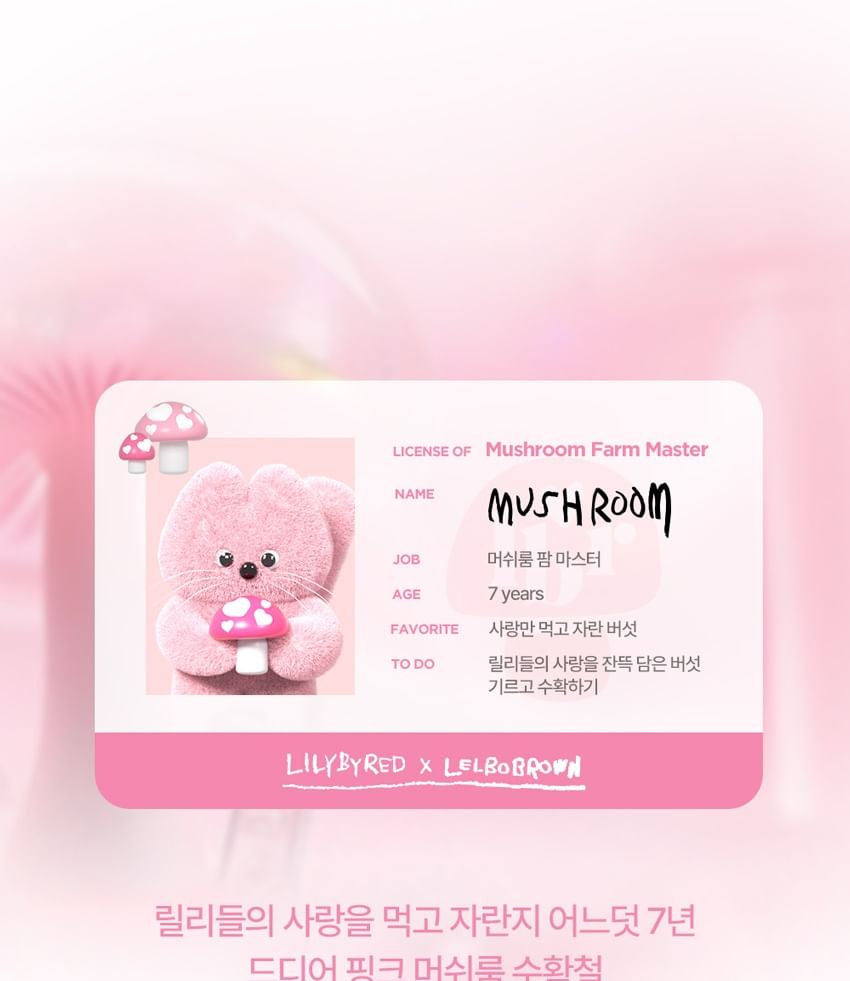 lilybyred - Grow Uppp Collection Warm Fresh Look Bundelset