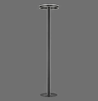 Paul Neuhaus Smart Home LED Stehlampe Q-VITO anthrazit