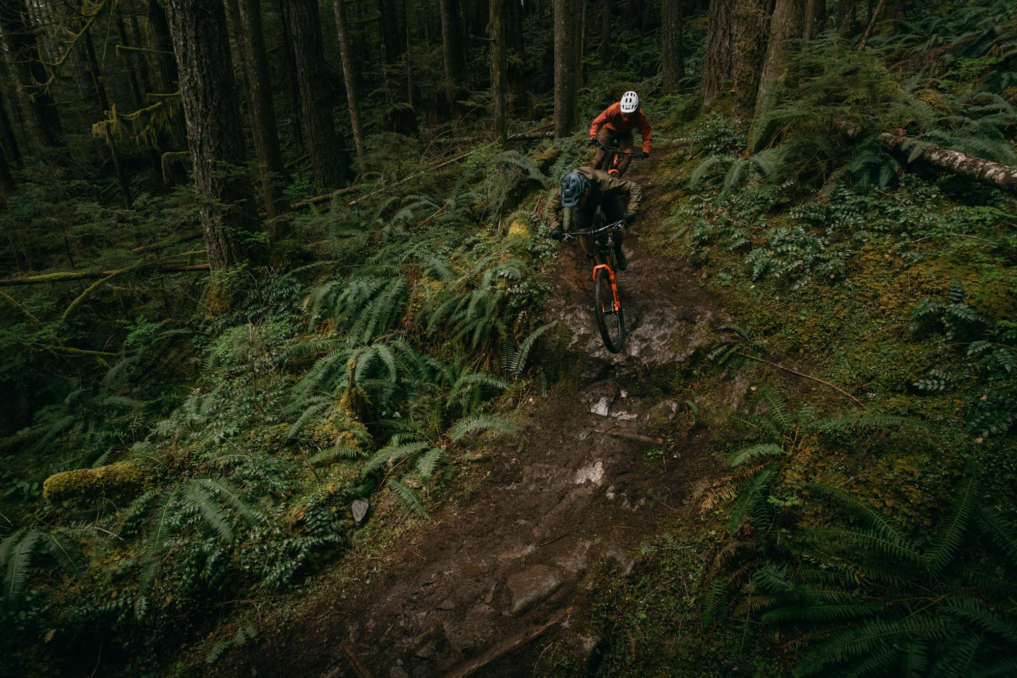 Rocky Mountain Element Alloy 30