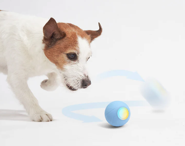 (Ø56mm) Wicked Ball SE Interaktiver Hunde Ball Haustier Spielzeug mit 3 Spiel Modi / LED Anzeige / Soundeffekte (CBS0101IT) - Blau