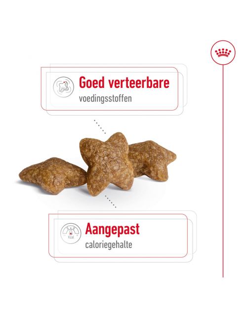 Royal Canin Mini Adult - Hondenvoer
