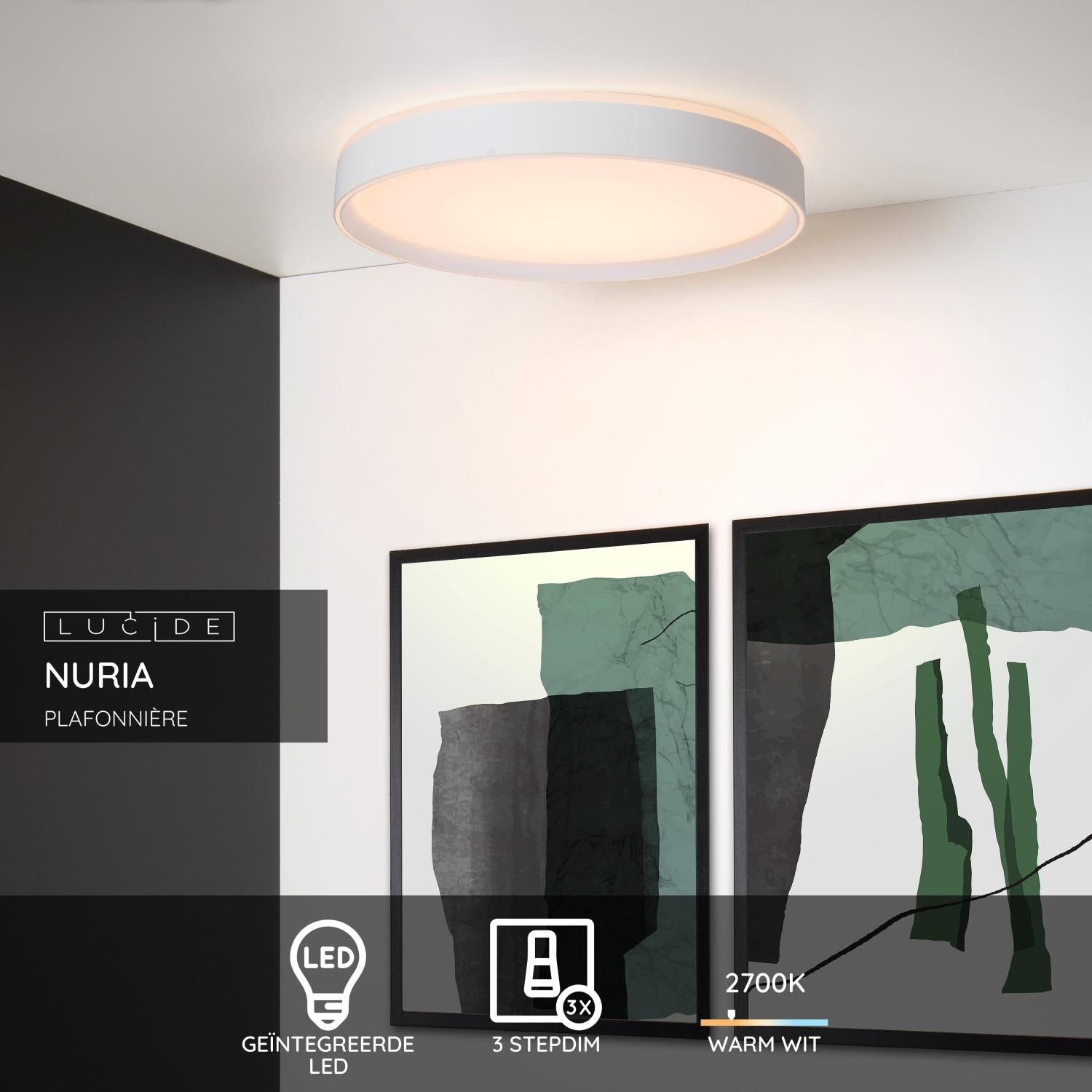 Nuria plafondlamp LED Ã50 wit