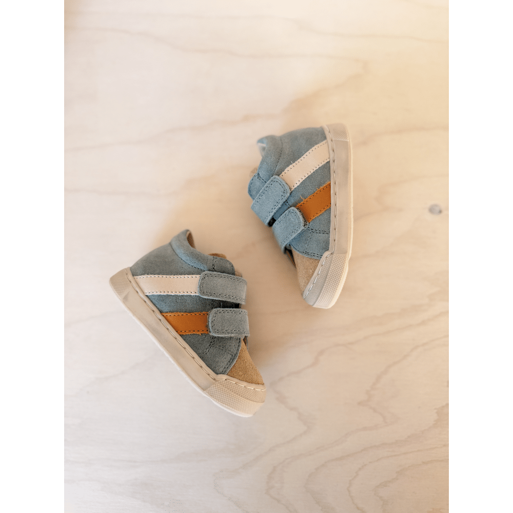 FALCOTTO - Sneaker met stootneus - Gazer