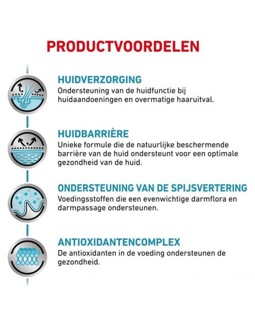 Royal Canin Veterinary Diet Dog Skin Care Adult - Hondenvoer