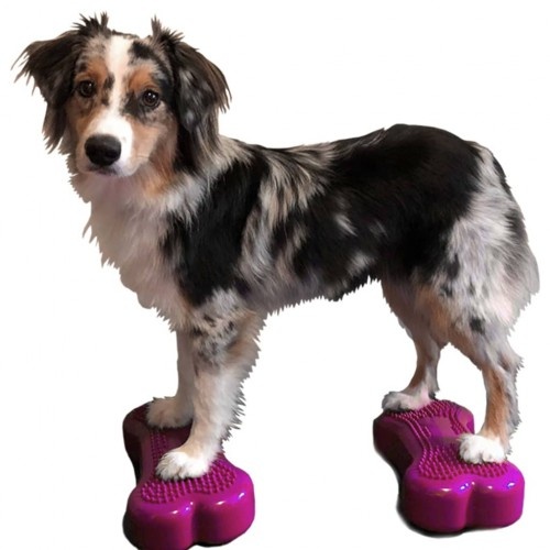 Plataforma de equilíbrio rosa para animais de estimação